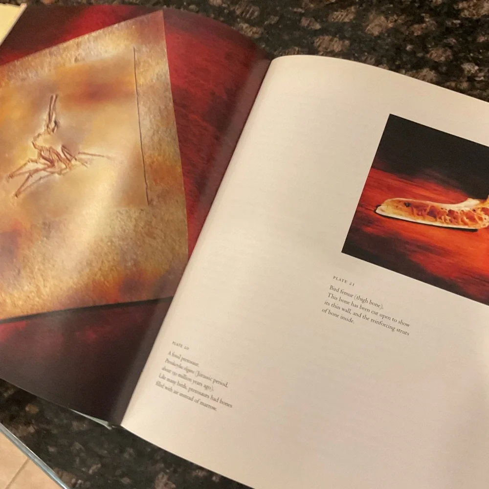 Bones: The Unity of Form and Function Book